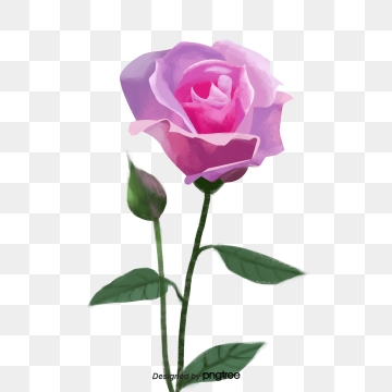 360x360 Single Rose Png, Vector, And Clipart With Transparent
