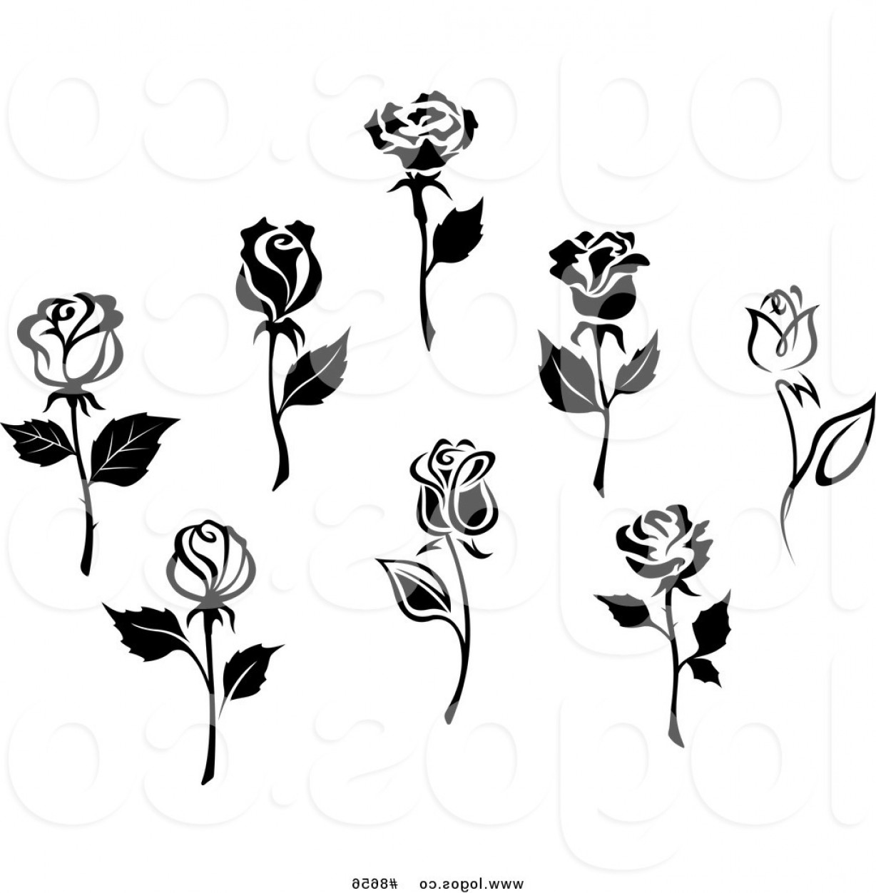 1228x1252 Black And White Rose Vector Graphics Catamart