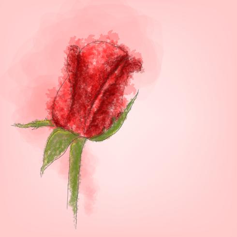 490x490 Single Red Rose Vector With Watercolor Style