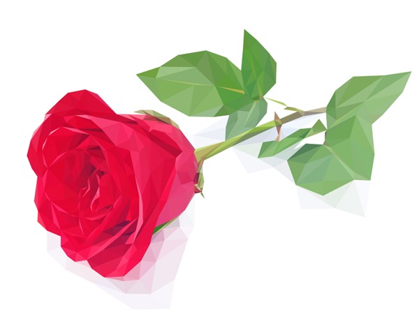 600x450 Single Red Roses Vector Graphics My Free Photoshop World