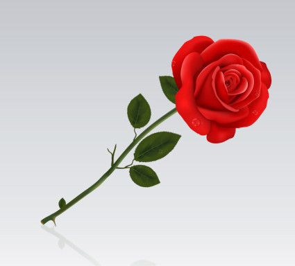 425x384 Single Red Roses Vector Material Free Vectors Ui Download