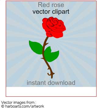 335x355 Download Vector Clipart Of A Single Red Rose