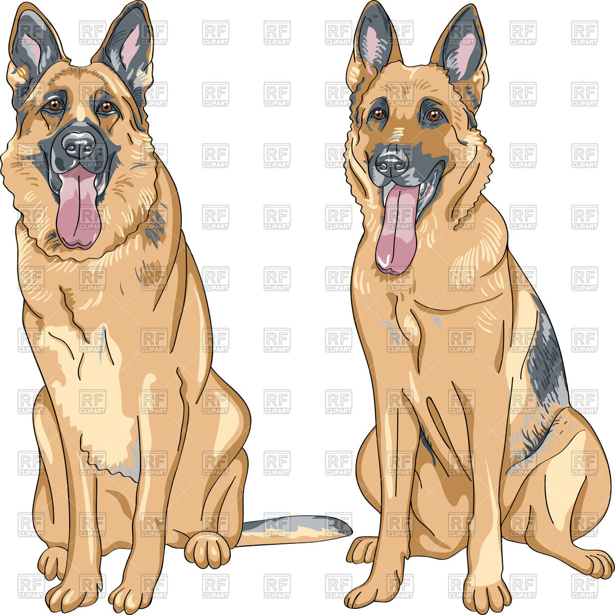 Portrait Of A Sitting Dog 1200x1200 Portrait Of A Sitting Dog