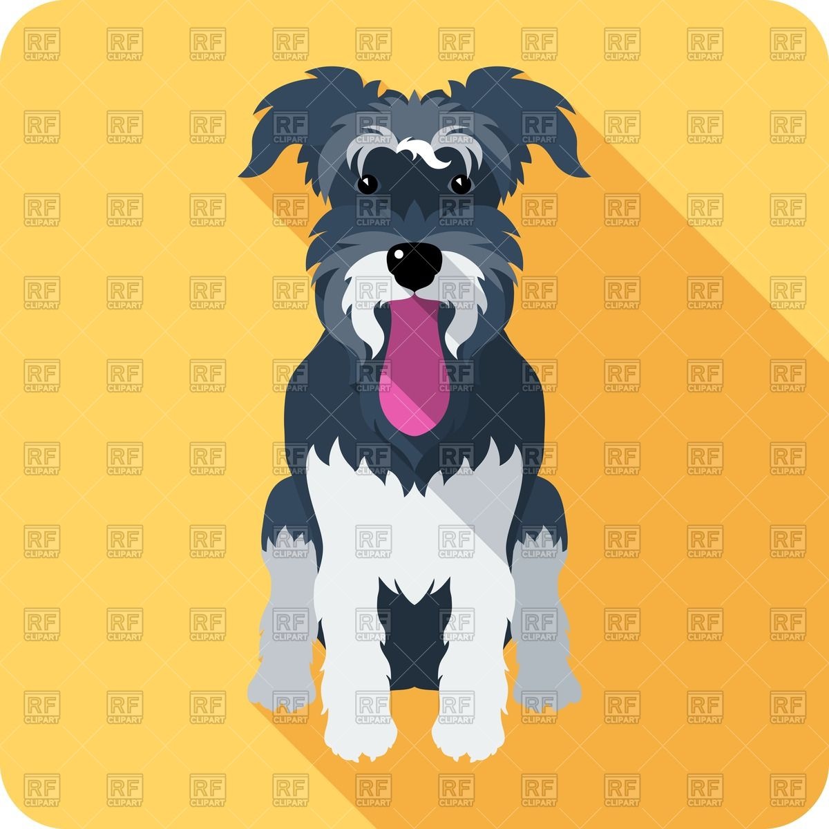 Sitting Dog Miniature Schnauzer 1200x1200 Sitting Dog Miniature Schnauzer