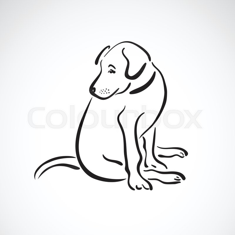 Vector Of Sitting Dog 800x800 Vector Of Sitting Dog