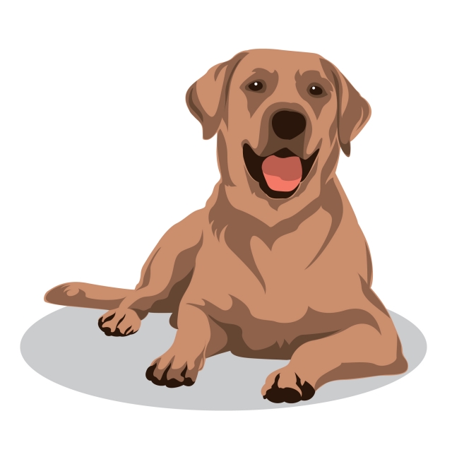 Clip Art Animal Illustration Dog Vector Illustration Illustration 640x640 Clip Art Animal Illustration Dog Vector Illustration Illustration