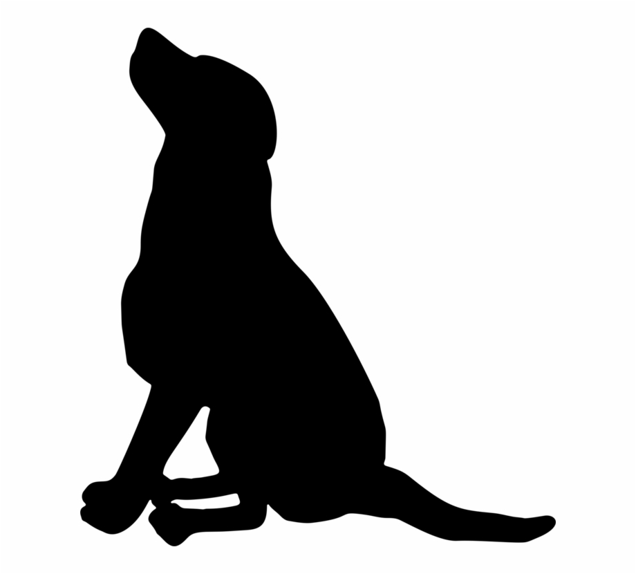 920x830 Labrador Retriever Pet Sitting Silhouette Puppy