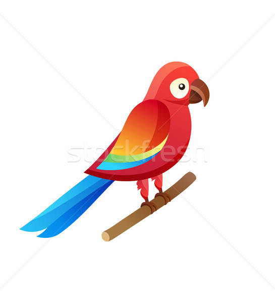 Parrot 545x600 Parrot