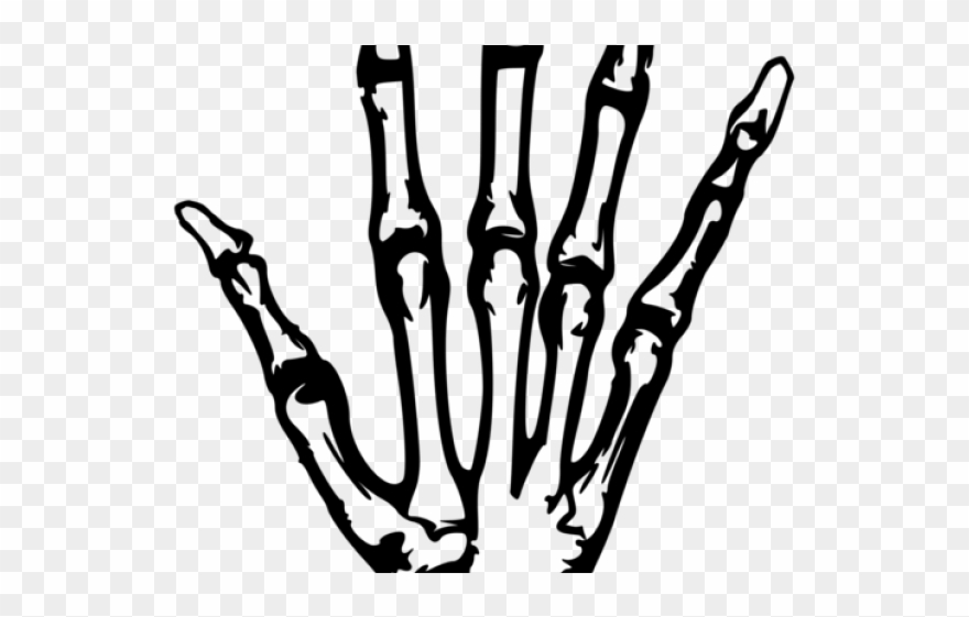Skeleton Hand Vector