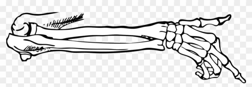 840x292 Book Anatomy Parts Of The Book Body