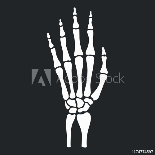 500x500 Skeleton Hand With Bones Vector Illustration