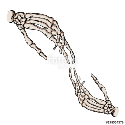 500x500 Skeleton Hands They Are Drawn To Each Other Stock Image