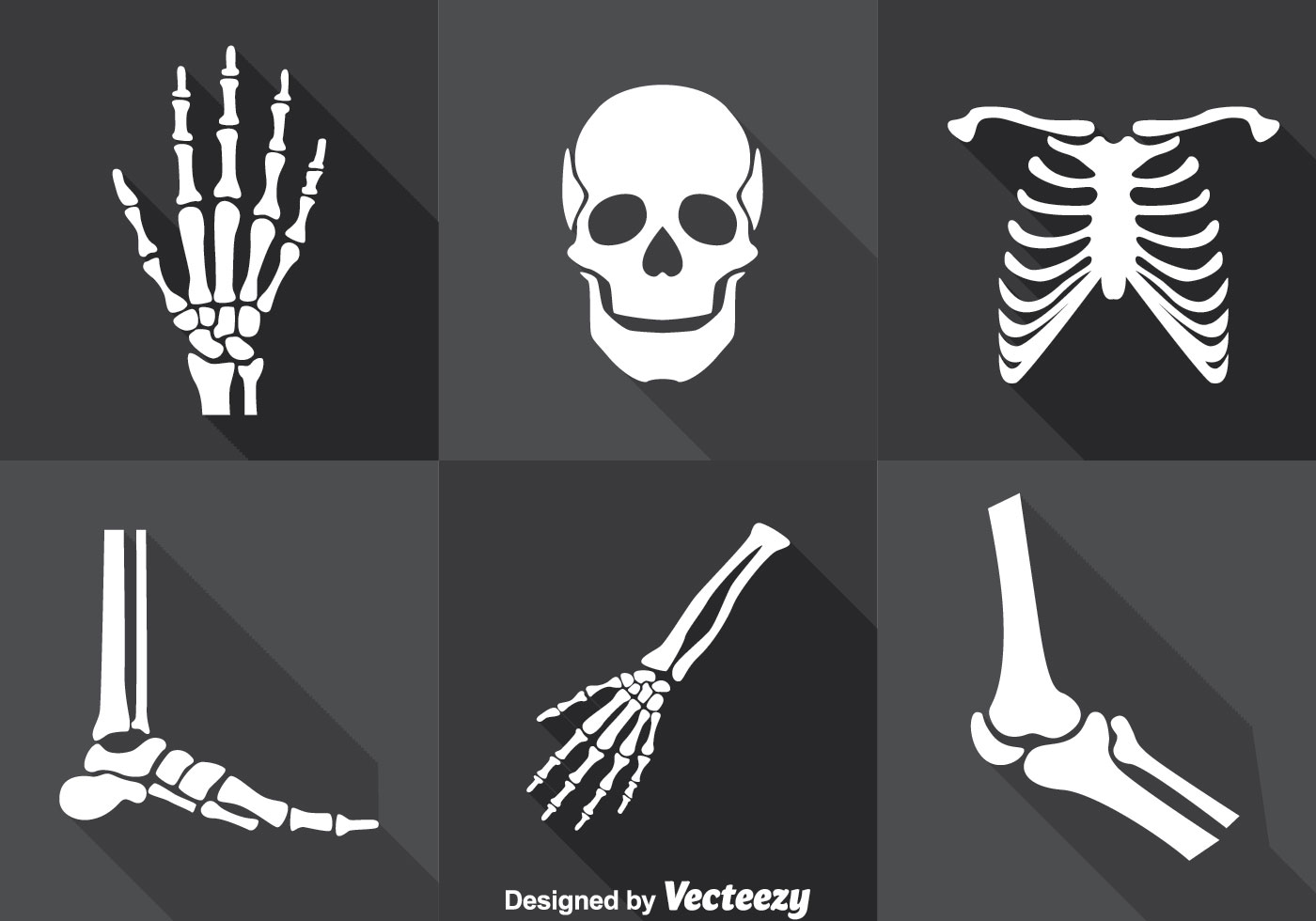 1400x980 Skeleton Head Free Vector Art