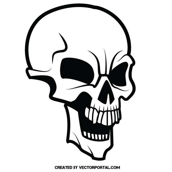 Skeleton Head Vector at Vectorified.com | Collection of Skeleton Head ...