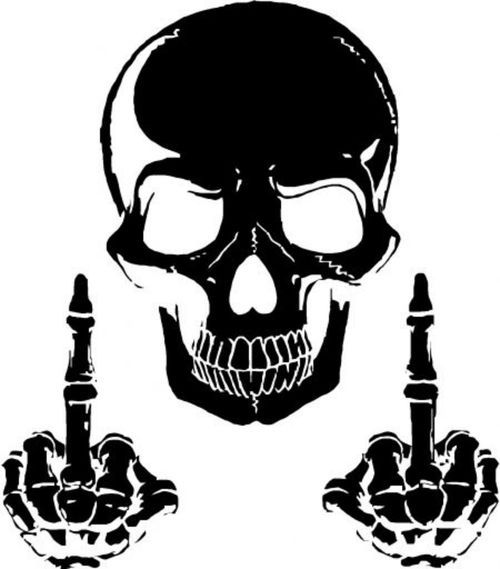 500x569 Opinionated Skull The Other Side Of There