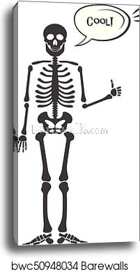 201x390 Skeleton Human Anatomy Vector Halloween Black Skeleton Isolated
