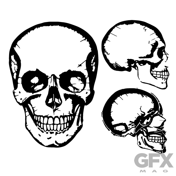 600x600 Free Vector Human Skull Anatomy Graphic Silhouette Free Download