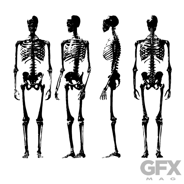 600x600 Human Skeleton Free Vector Clip Art Silhouette Free Download