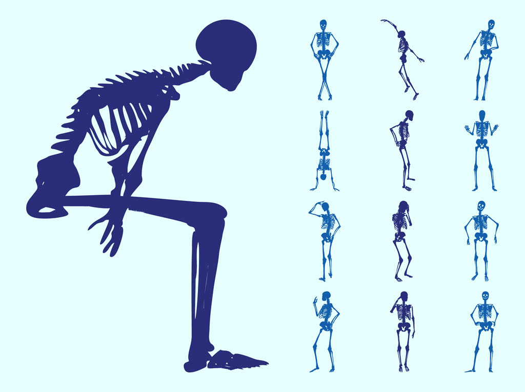 1024x765 Human Skeletons Silhouettes Vector Art Graphics