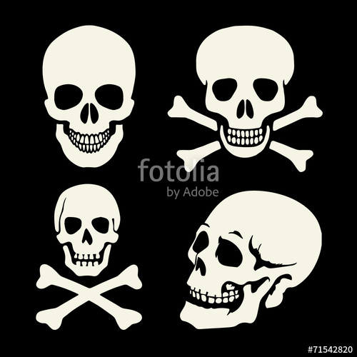 500x500 Human Skull Silhouette Stock Image And Royalty Free Vector