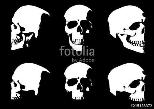 500x353 Set Of Hand Drawn Skull Silhouette Isolated On Black Background
