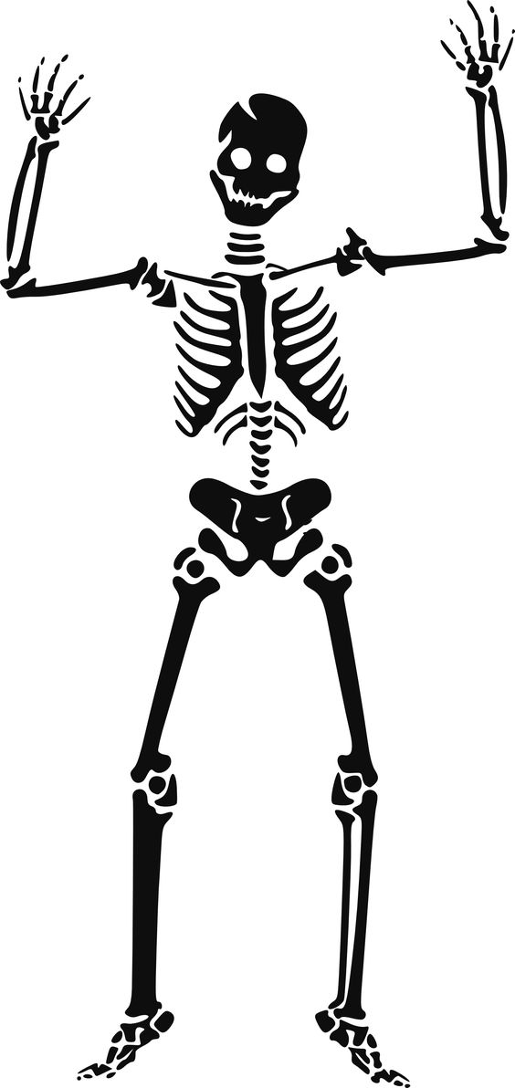 564x1192 Skeleton Clipart Empty For Free Download And Use Images