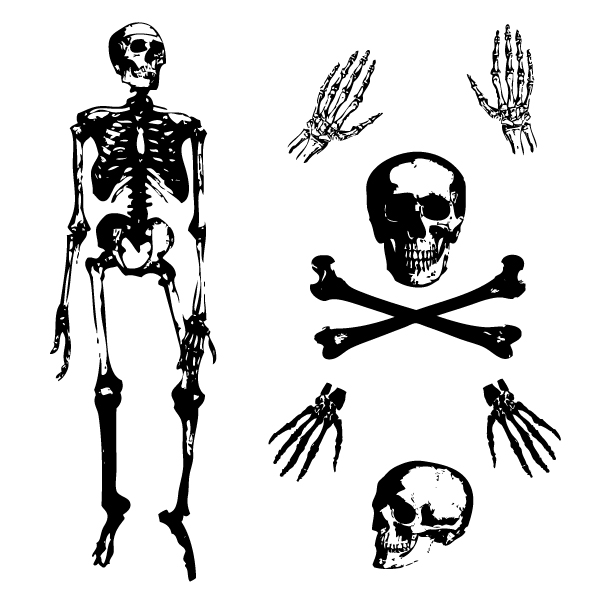 596x596 Skeleton Leaves Insects Birds Imprint Sword Silhouette