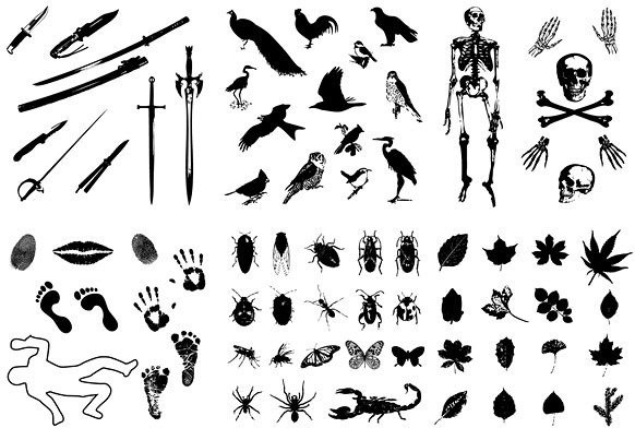 582x392 Skeleton Leaves Insects Birds Imprint Sword Silhouette Vector Free