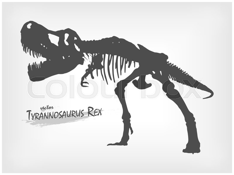 800x598 Tyrannosaurus Rex Skeleton Silhouette Stock Vector Colourbox
