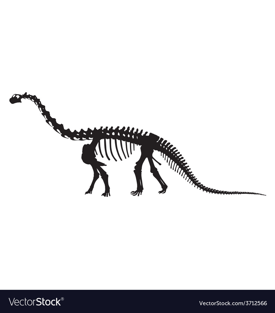 951x1080 Dinosaur Skeleton Silhouette Vector Dinosaur