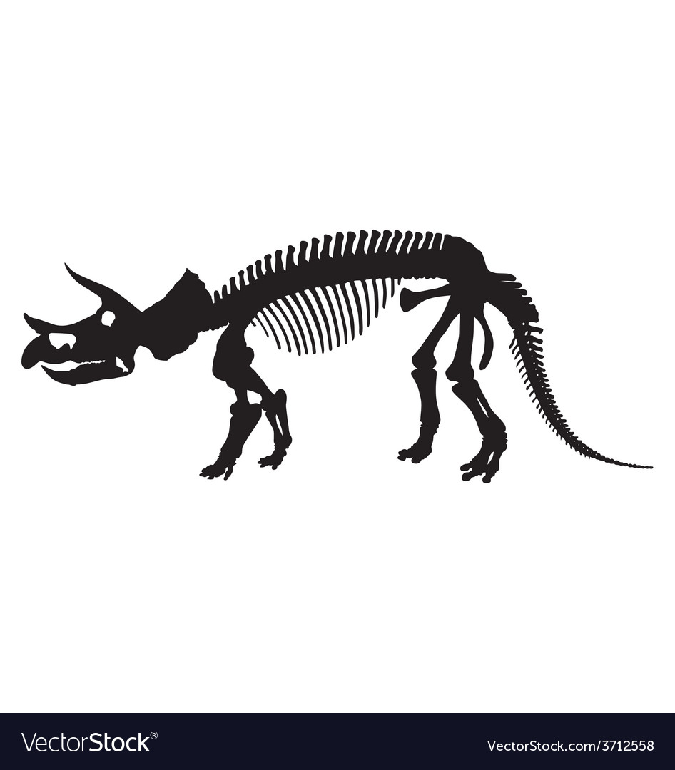 946x1080 Dinosaur Bones Silhouette