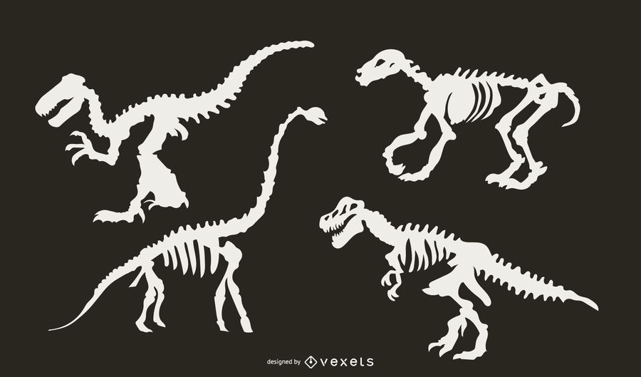 900x529 Dinosaur Skeleton Silhouette Set