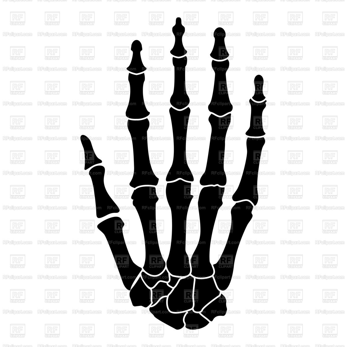 1200x1200 Hand Bone Icon