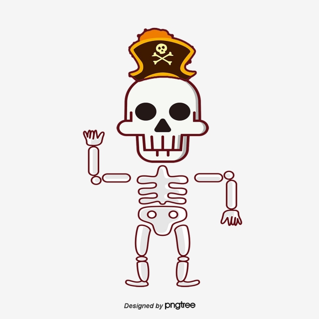 640x640 Human Skeleton Png Images Vector And Free Download
