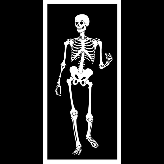 660x660 Skeleton Vector Image