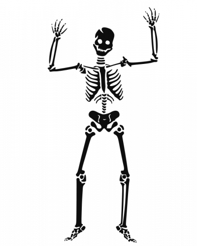 400x500 Scary Human Skeleton Vector Image