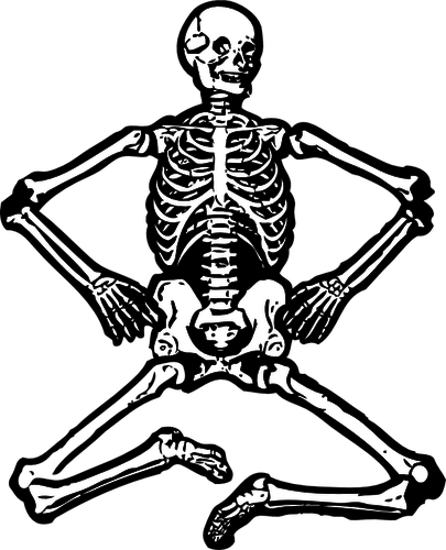 Skeleton Vector At Collection Of Skeleton Vector Free