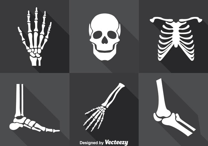 700x490 Skeleton Free Vector Art