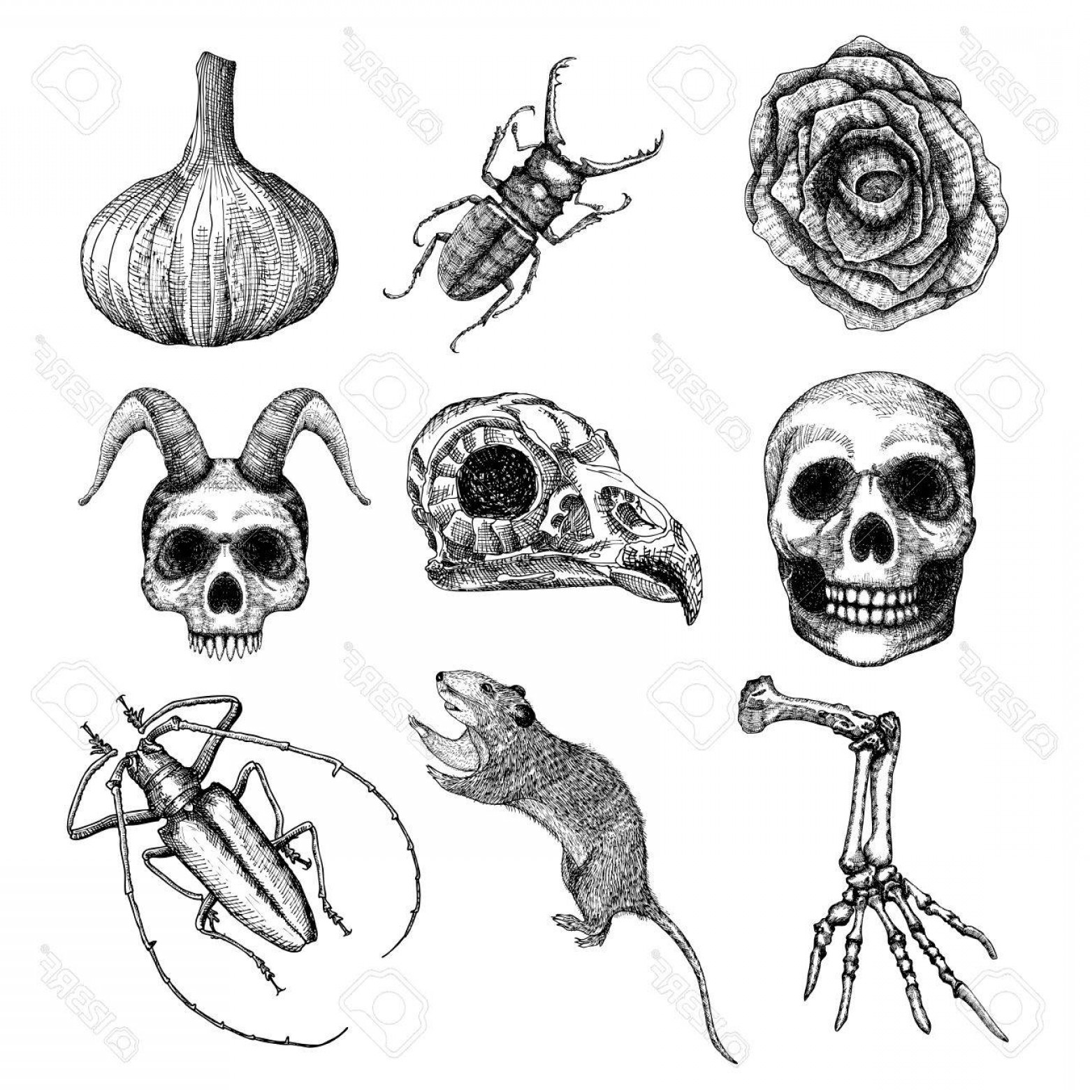 1560x1560 Photostock Vector Witchcraft Magic Occult Attributes Set