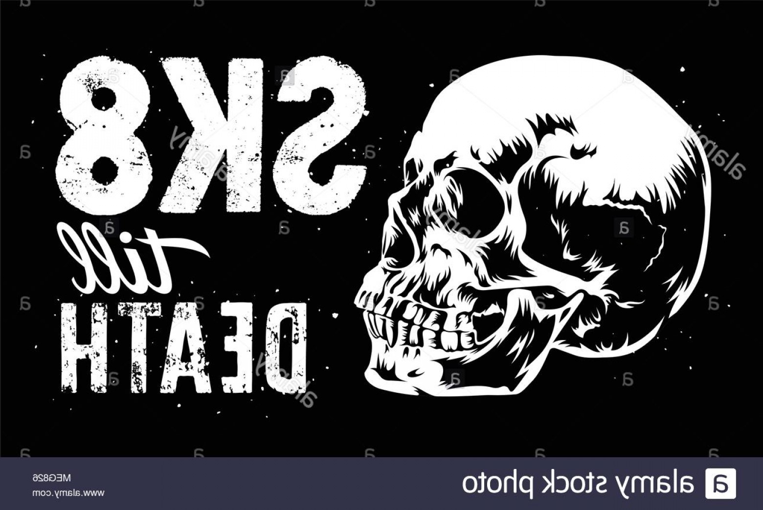 1560x1044 Skateboard T Shirt Graphics Skull Vector Art Skeleton Tee Graphics