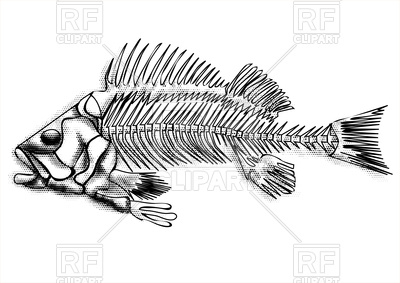 400x283 Black Fish Skeleton Vector Image Of Silhouettes, Outlines Arkela