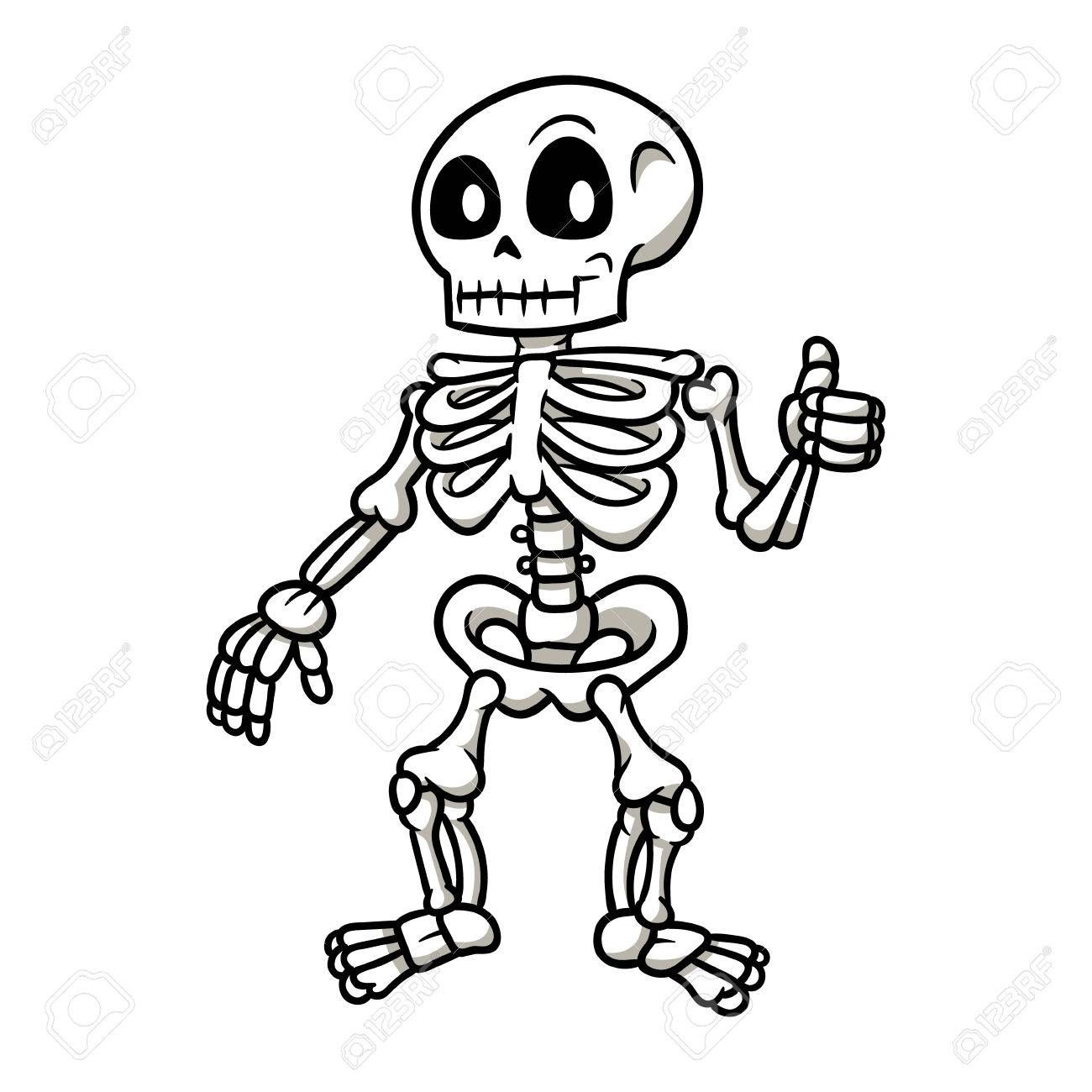 1300x1300 Stock Vector Math In Skeleton Drawings, Cartoon Drawings