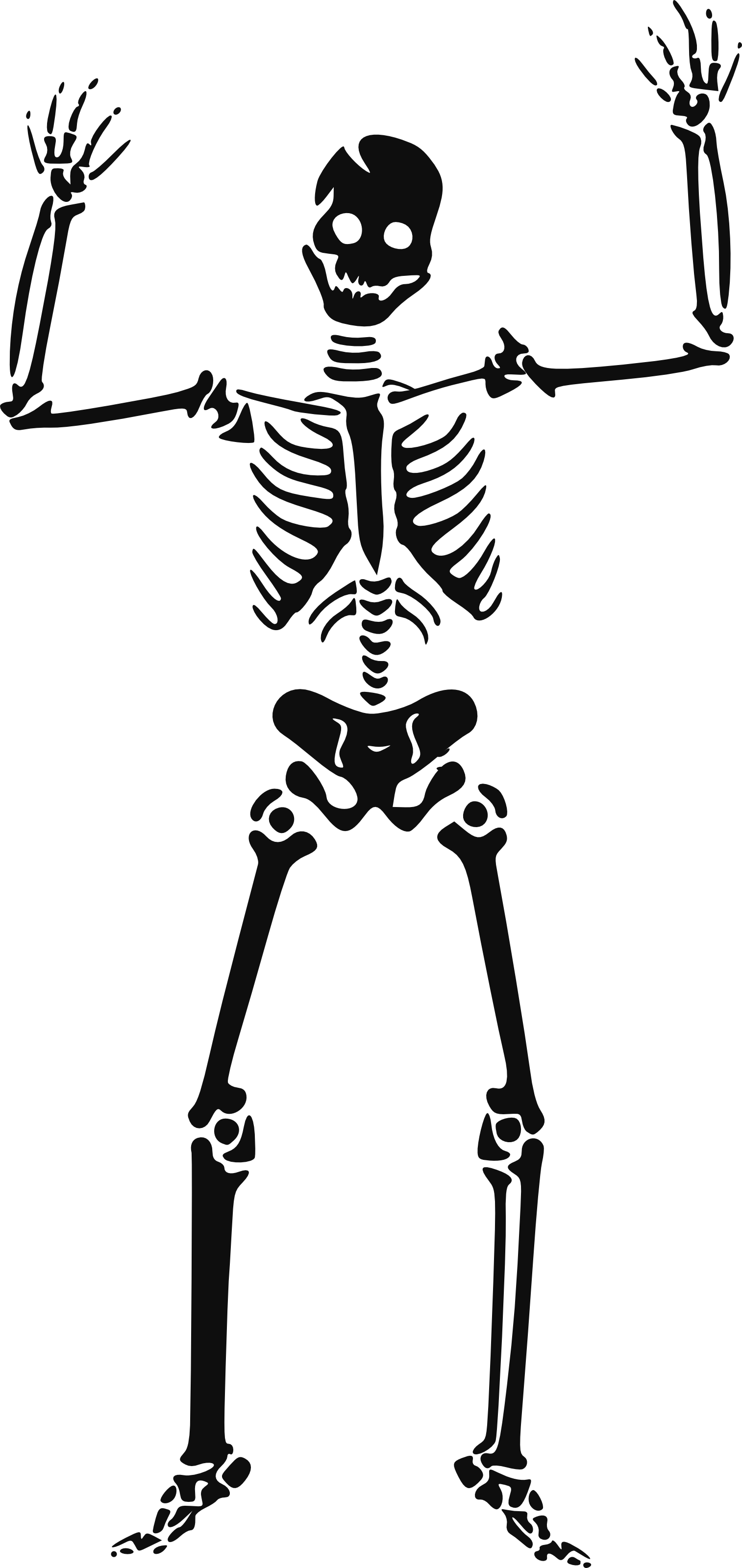 1514x3200 Skeleton Clipart Man For Free Download And Use Images