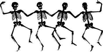354x180 Skeletons Vector Clipart Free Vector Vectors Image