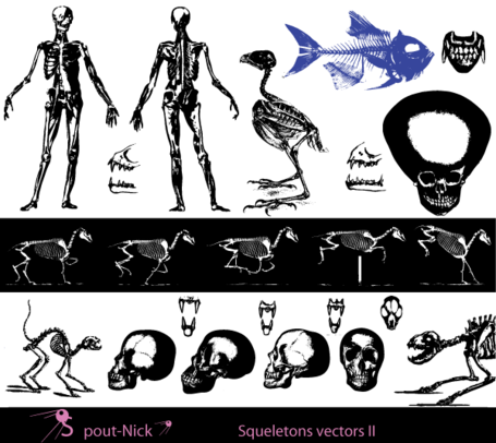 455x406 Free Free Skeleton Clipart And Vector Graphics