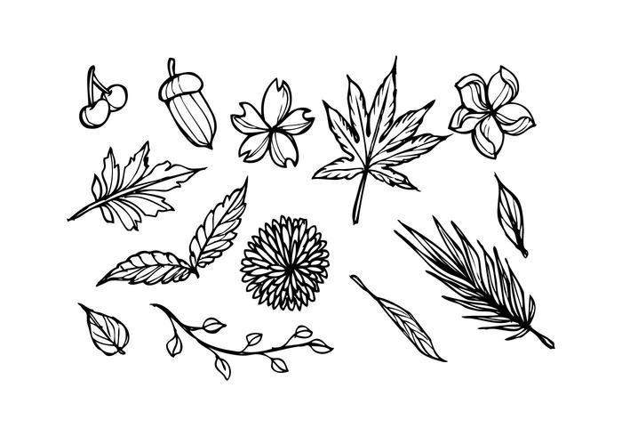 Free Floral Sketch Icon Vector 700x490 Free Floral Sketch Icon Vector