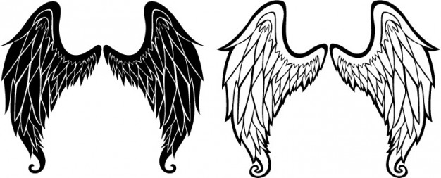 Angel Wings Sketch Icon Vector Vector Free Download 626x253 Angel Wings Sketch Icon Vector Vector Free Download