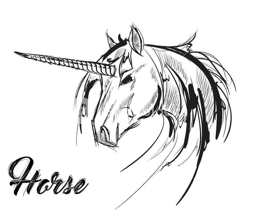 Unicorn Sketch Icon Vector Magic Or Mystic Fairy Horse Horn 1000x879 Unicorn Sketch Icon Vector Magic Or Mystic Fairy Horse Horn