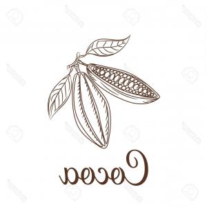 300x300 Sketch Shrimp Seafood Logo Vector Hoodamathrun