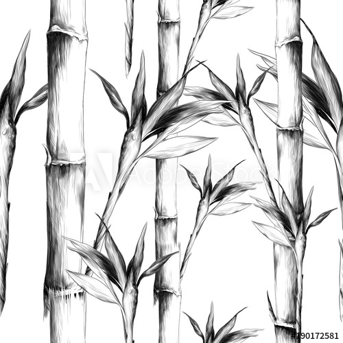 Leaves Branches Stem Bamboo Pattern Flowers Texture Frame Seamless 500x500 Leaves Branches Stem Bamboo Pattern Flowers Texture Frame Seamless
